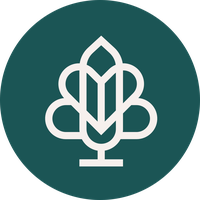 گل گیان