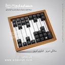 استخدام برنامه نویس دلفی (مشهد) - گروه نرم افزار سیبا | Siba software group