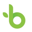استخدام کارشناس تولید محتوا (بازار مالی) - بامبو فاند | Bambo Fund