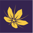 استخدام حسابدار (آقا) - فروشگاه آنلاین زادمهر  | Zaadmehr Online Shop