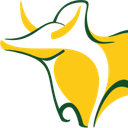 استخدام طراح و گرافیست (خانم-رشت) - کادوسیه | Cadusieh