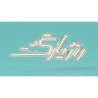 روژیار گشت