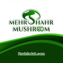 استخدام مسئول دفتر (خانم-کرج) - قارچ مهرشهر | Mwhrshahr Mushroom