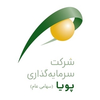 سرمایه‌گذاری پویا