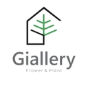 استخدام کارشناس فروش - گیالری | Giallery