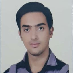 رزومه‌ی محمدجواد سبزه علی