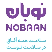 هلدینگ نوبان