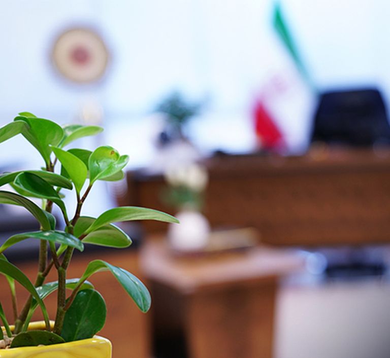 مزایای همکاری با شرکت همتاپِی