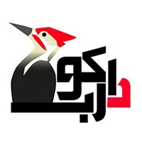 طراحی سایت دارکوب