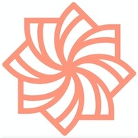 هوش سازه