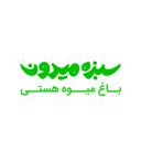 استخدام کارشناس حسابداری - باغ میوه هستی | baghmiveh hasti