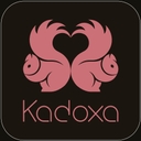 استخدام حسابدار مالی(خانم) - نیک اندیشان آئین ساز ارمغان (کادوکسا) | Kadoxa