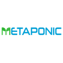 استخدام Front-End Developer - متاپونیک  | Metaponic