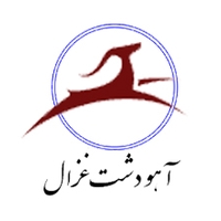 آهو دشت