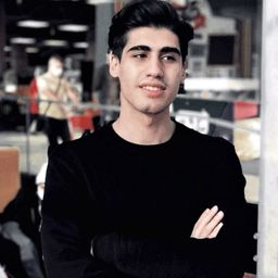 رزومه‌ی پرهام فرزین