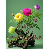 مطب دکتر خوشدونی