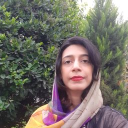 رزومه‌ی نیلوفر توکلی