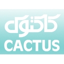 استخدام کارشناس پشتیبانی و استقرار نرم افزار - کاکتوس کامپیوتر | Cactus Computer