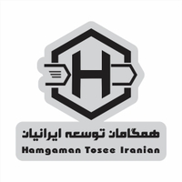 همگامان توسعه ایرانیان