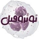 استخدام کارشناس ارشد SEO(همدان) - نوتروفیل | Notruphil