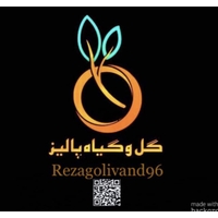 گل گیاه پالیز