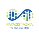 استخدام منشی آشنا به حسابداری (خانم) - پایازیست آزما | Payazist Azma