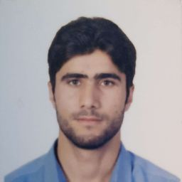 رزومه‌ی Abas Hamidian