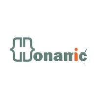 ایده پردازان هونامیک