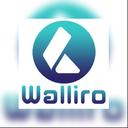 استخدام Quantitative Analyst and Strategy Developer - والیرو | Walliro