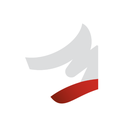 استخدام طراح گرافیک (دورکاری) - تیم سوشال نیک | Nik Social Team