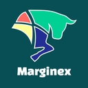 استخدام کارشناس ارشد مالی (بازار سرمایه-آقا) - مارجینکس | Marginex