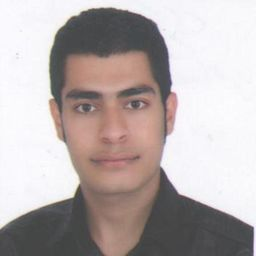 رزومه‌ی میلاد عسکری