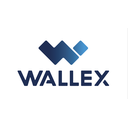 استخدام Financial Data Analyst - والکس | Wallex