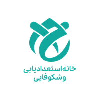 گروه پرورش استعداد و شکوفایی اندیشه برتر ایرانیان