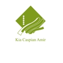 استخدام حسابدار - کیاکاسپین امیر | Kia Caspian Amir