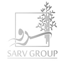 استخدام کارشناس ارشد بازرگانی خارجی - گروه سرو | Sarv Group