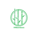 استخدام مدیر هنری (Art Director) - بامبو اچ آر | HR Bamboos