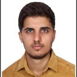 رزومه‌ی علی شرکایی