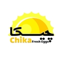 استخدام حسابدار ارشد صنعتی - کاسپین طلایی چیکا | Caspian Talayi Chika