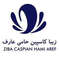 زیبا کاسپین حامی عارف