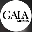 استخدام طراح وب سایت (Wordpress) - گالا مزون | Gala Mezon
