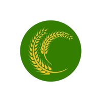 گل گندم
