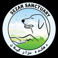 بیمارستان حیوانات سزار