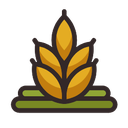 استخدام برنامه نویس ارشد لاراول (PHP-اصفهان) - توسعه گندم | Wheat Development