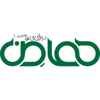 هلدینگ هامن