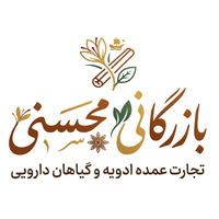 دیجیتال مارکتینگ روحی وب