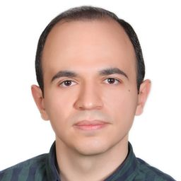 رزومه‌ی سید حسام الدین صادقی