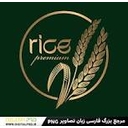 استخدام مدیر  فروشگاه (آقا) - فروشگاه  زنجیره  ای  برنج  شمال | Jingasar