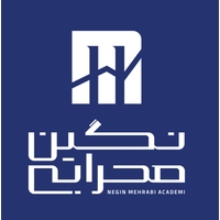 هلدینگ نگین