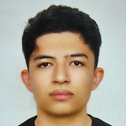 رزومه‌ی سید نیما حسینی